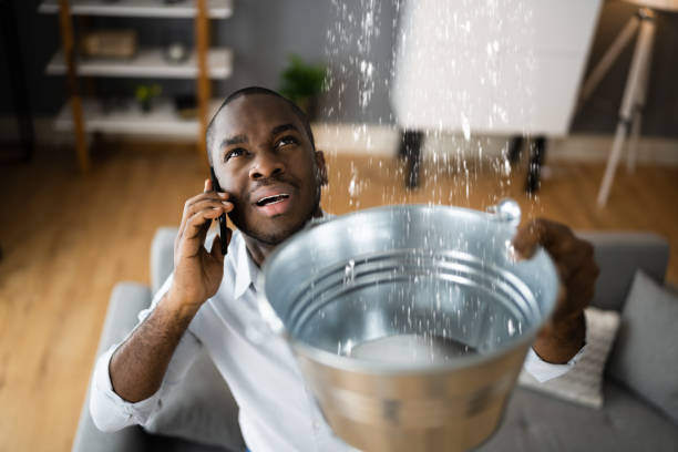 Best Commercial water damage restoration  in Sterling Heights, MI