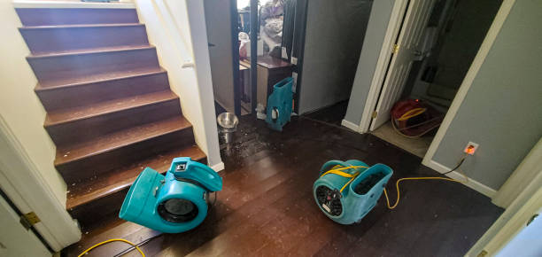 Best Flood damage cleanup  in Sterling Heights, MI
