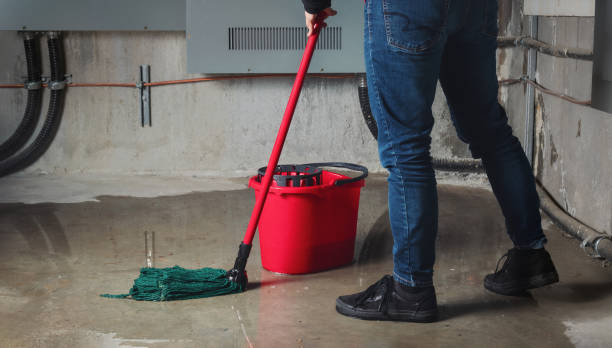Best Local water damage restoration  in Sterling Heights, MI
