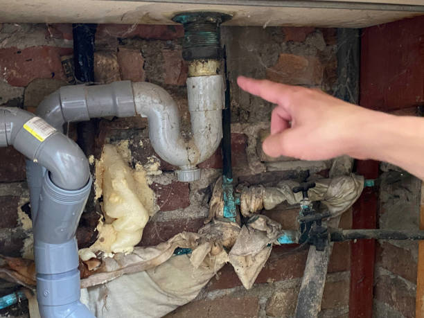 Best Residential water damage restoration  in Sterling Heights, MI
