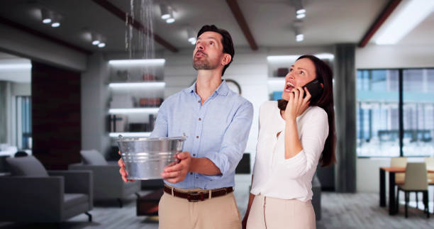 Best Emergency water damage restoration  in Sterling Heights, MI