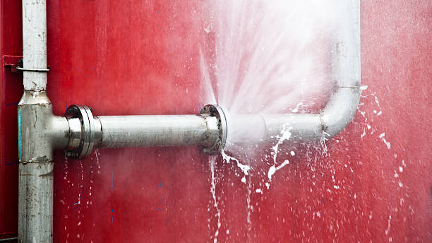 Best 24/7 water damage repair  in Sterling Heights, MI